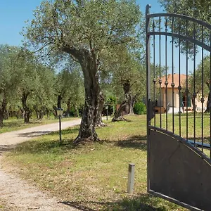 Couette-café Welcomely - Country Olivar